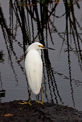 Florida 02242010