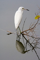 Florida 2007 111