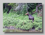 Lake_Superior_22