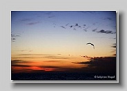 Lake_Superior_2005_06