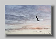 Lake_Superior_2005_09