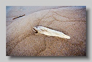 Lake_Superior_2007_19